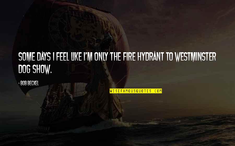 Westminster's Quotes By Bob Beckel: Some days I feel like I'm only the Westminster's Quotes By Bob Beckel: Some days I feel like I'm only the
