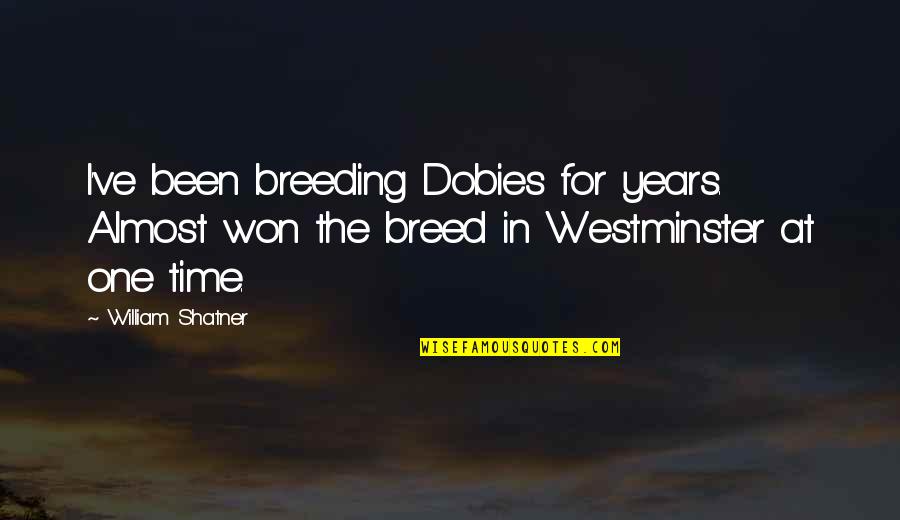 Westminster's Quotes By William Shatner: I've been breeding Dobies for years. Almost won