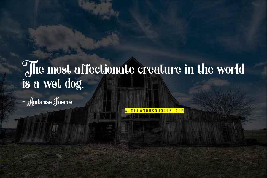 Wet Dog Quotes By Ambrose Bierce: The most affectionate creature in the world is Wet Dog Quotes By Ambrose Bierce: The most affectionate creature in the world is