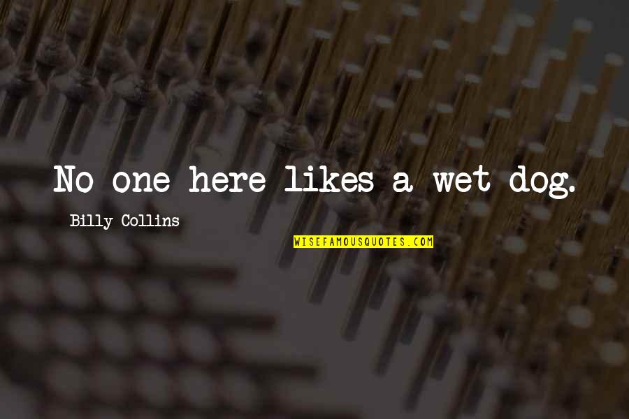 Wet Dog Quotes By Billy Collins: No one here likes a wet dog. Wet Dog Quotes By Billy Collins: No one here likes a wet dog.