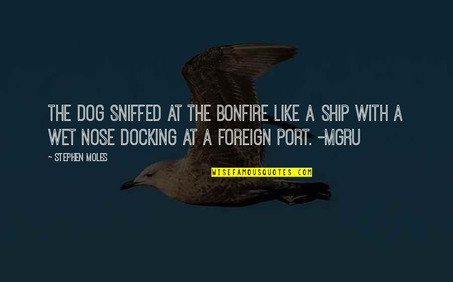 Wet Dog Quotes By Stephen Moles: The dog sniffed at the bonfire like a Wet Dog Quotes By Stephen Moles: The dog sniffed at the bonfire like a