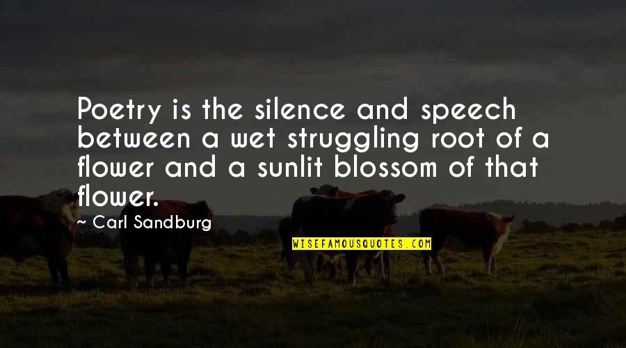 Wet Flower Quotes By Carl Sandburg: Poetry is the silence and speech between a Wet Flower Quotes By Carl Sandburg: Poetry is the silence and speech between a