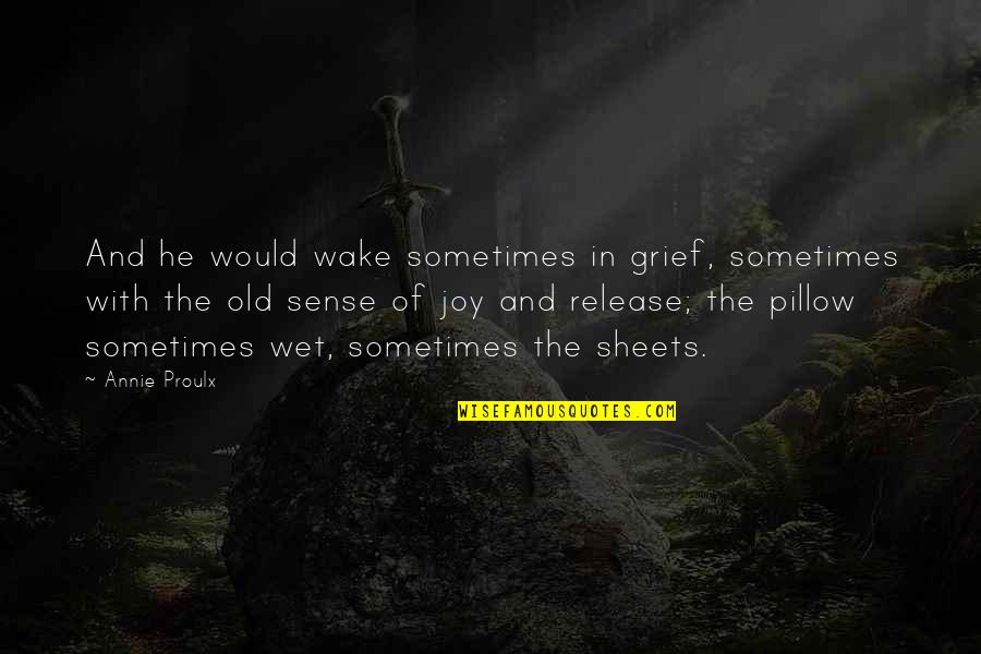 Wet Pillow Quotes By Annie Proulx: And he would wake sometimes in grief, sometimes