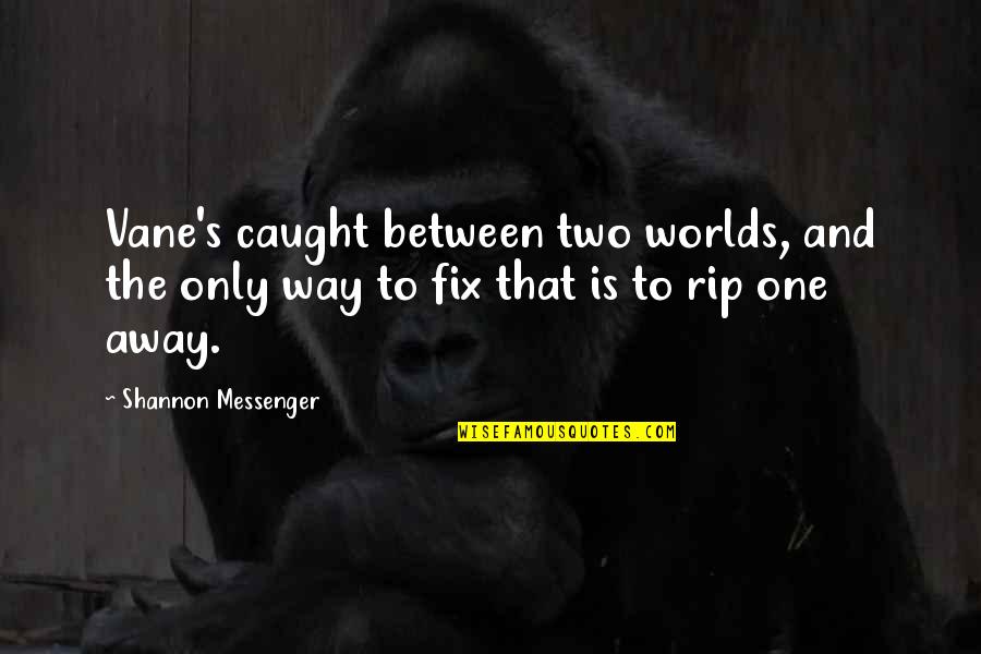 Wetinberate Quotes By Shannon Messenger: Vane's caught between two worlds, and the only Wetinberate Quotes By Shannon Messenger: Vane's caught between two worlds, and the only