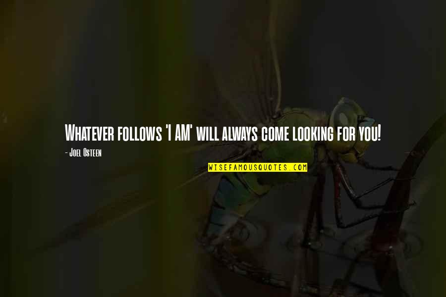 Wetjoen Quotes By Joel Osteen: Whatever follows 'I AM' will always come looking