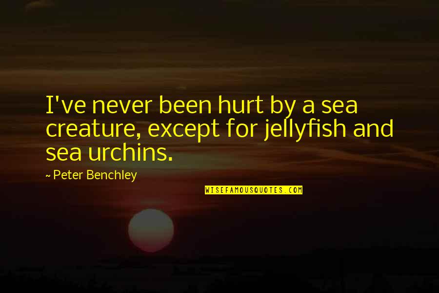 We've All Been Hurt Quotes By Peter Benchley: I've never been hurt by a sea creature,