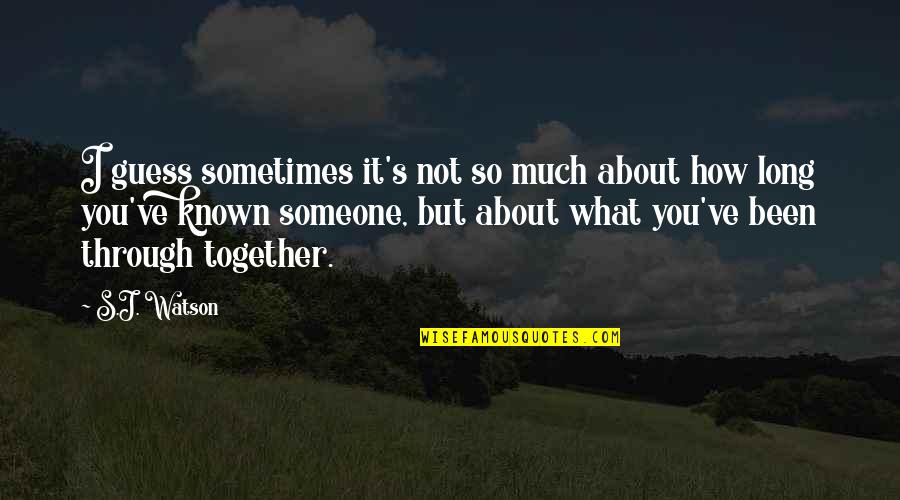 We've Been Through So Much Together Quotes By S.J. Watson: I guess sometimes it's not so much about