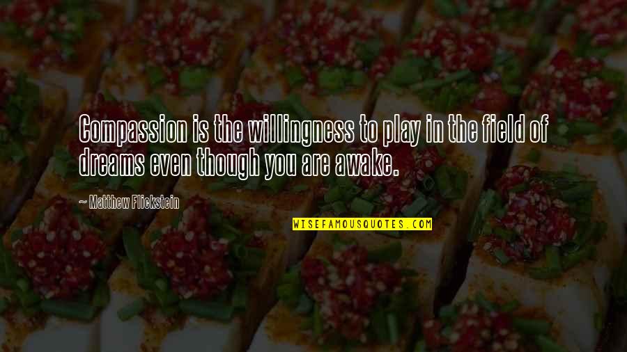 Weydahl Quotes By Matthew Flickstein: Compassion is the willingness to play in the