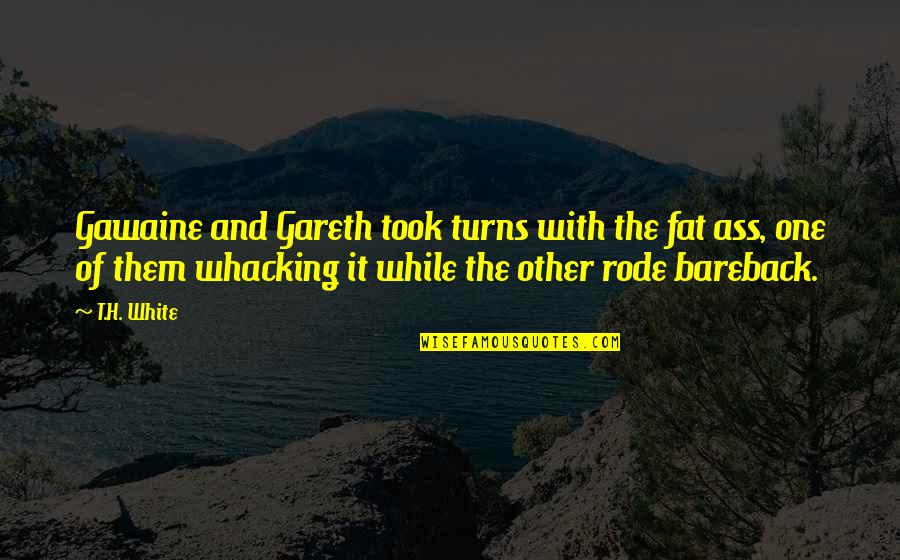 Whacking Quotes By T.H. White: Gawaine and Gareth took turns with the fat