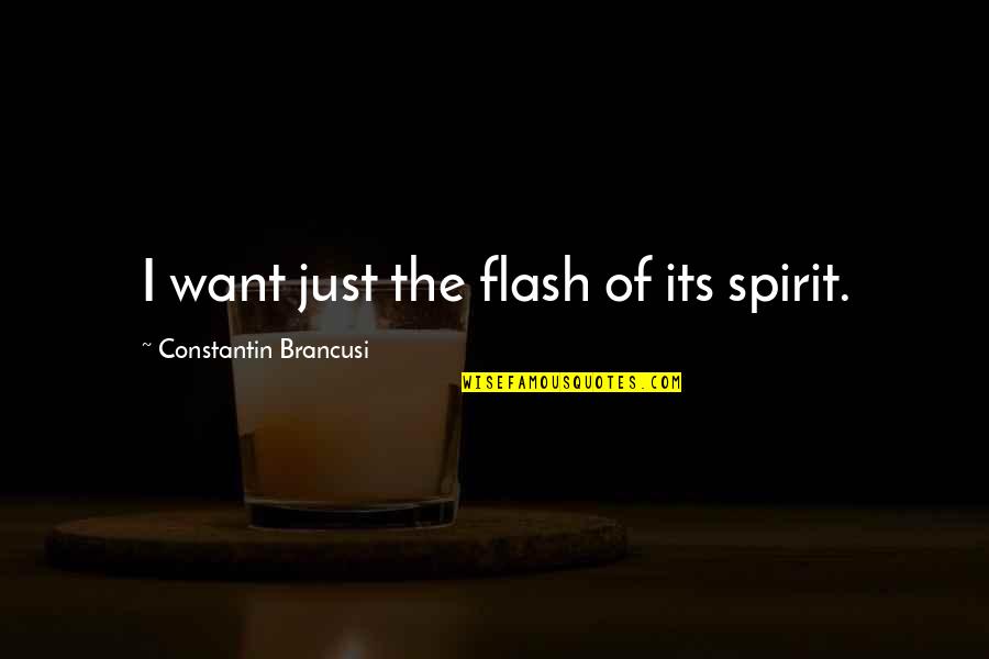 Whaddya Quotes By Constantin Brancusi: I want just the flash of its spirit.