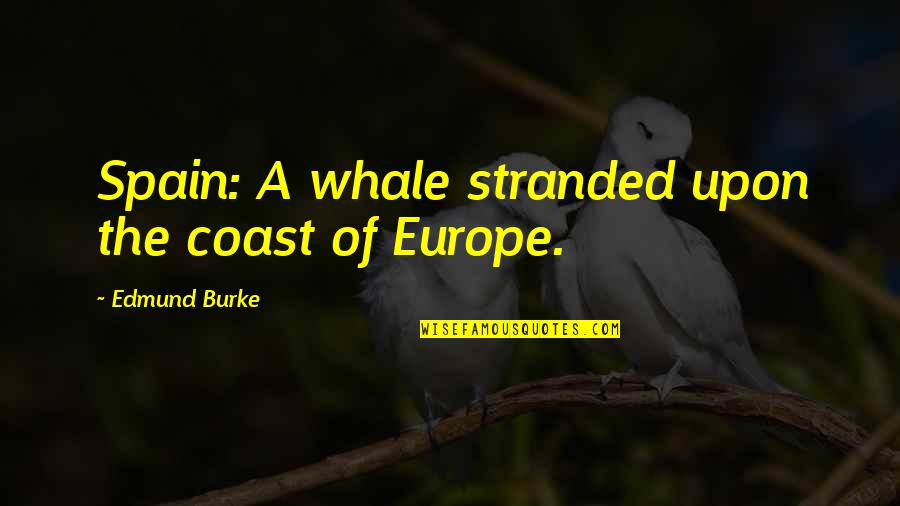 Whale Quotes By Edmund Burke: Spain: A whale stranded upon the coast of