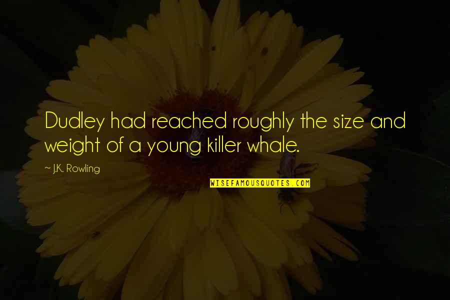 Whale Quotes By J.K. Rowling: Dudley had reached roughly the size and weight
