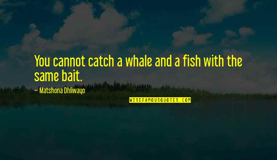 Whale Quotes By Matshona Dhliwayo: You cannot catch a whale and a fish
