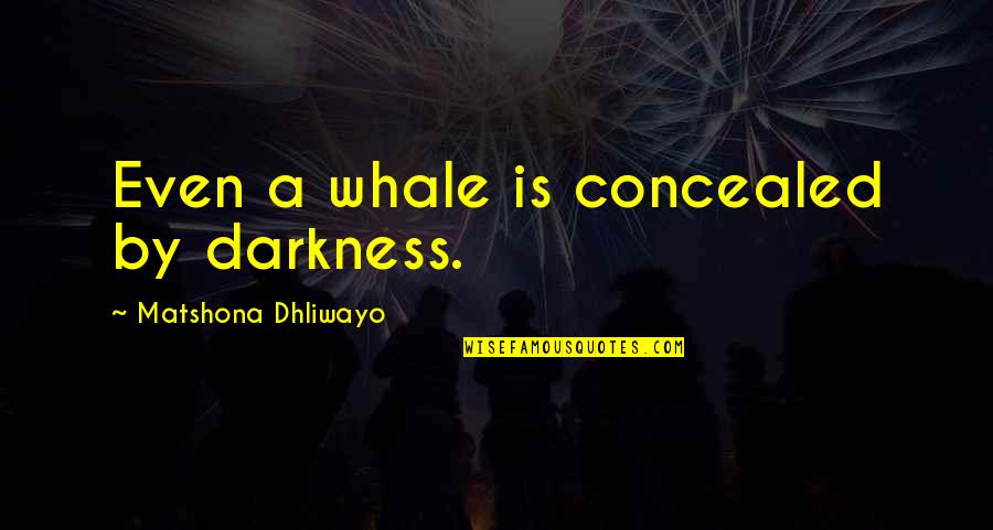 Whale Quotes By Matshona Dhliwayo: Even a whale is concealed by darkness.