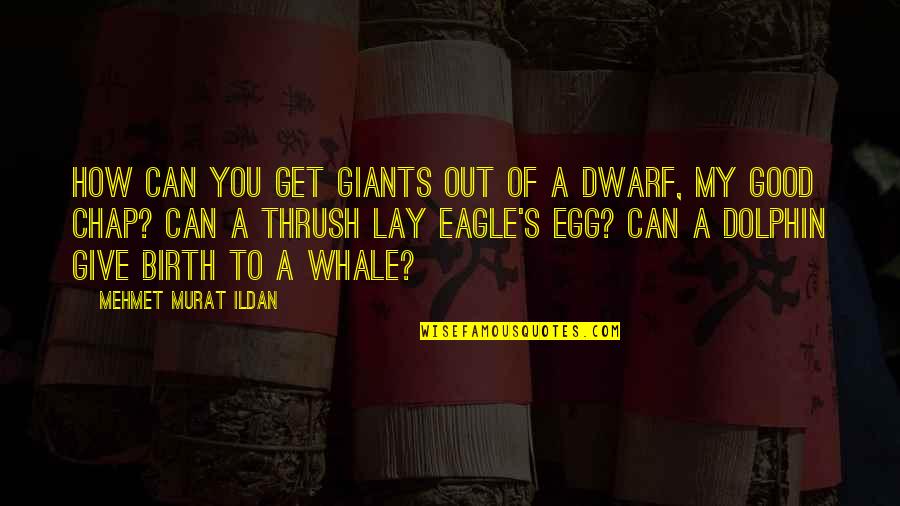 Whale Quotes By Mehmet Murat Ildan: How can you get giants out of a