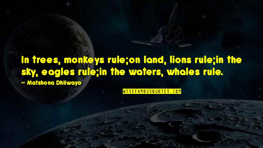 Whales Quotes And Quotes By Matshona Dhliwayo: In trees, monkeys rule;on land, lions rule;in the