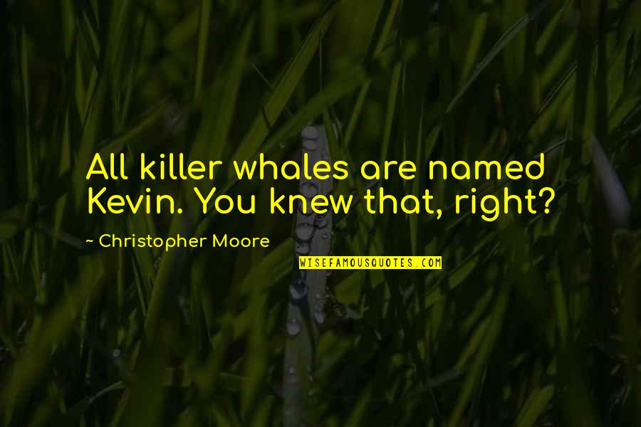 Whales Quotes By Christopher Moore: All killer whales are named Kevin. You knew