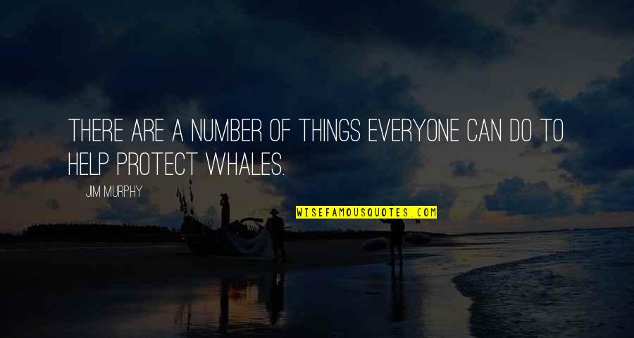 Whales Quotes By Jim Murphy: There are a number of things everyone can
