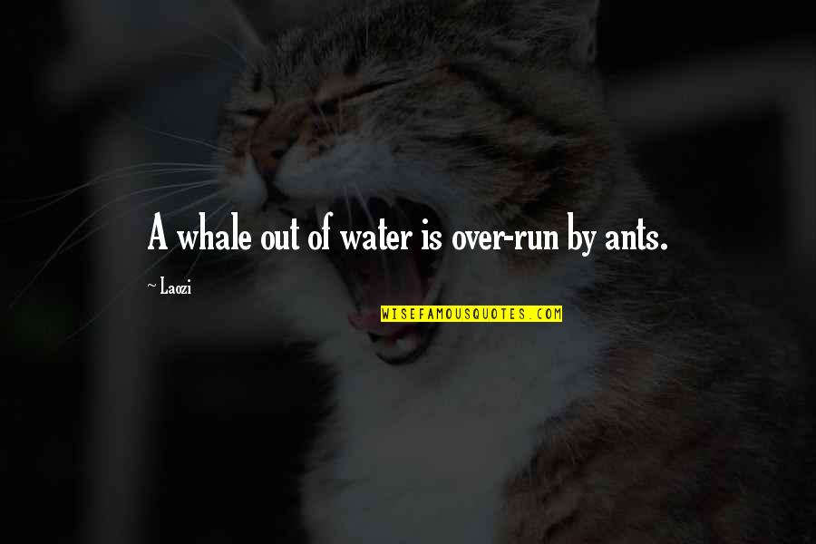 Whales Quotes By Laozi: A whale out of water is over-run by