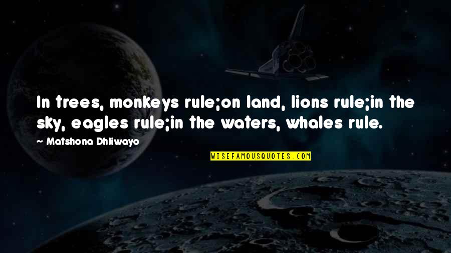 Whales Quotes By Matshona Dhliwayo: In trees, monkeys rule;on land, lions rule;in the