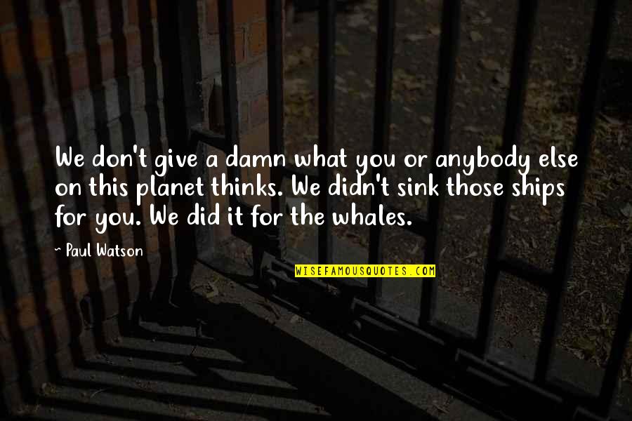 Whales Quotes By Paul Watson: We don't give a damn what you or