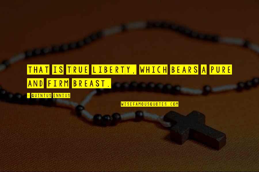 Wharff Exxcavating Indianapolis Quotes By Quintus Ennius: That is true liberty, which bears a pure
