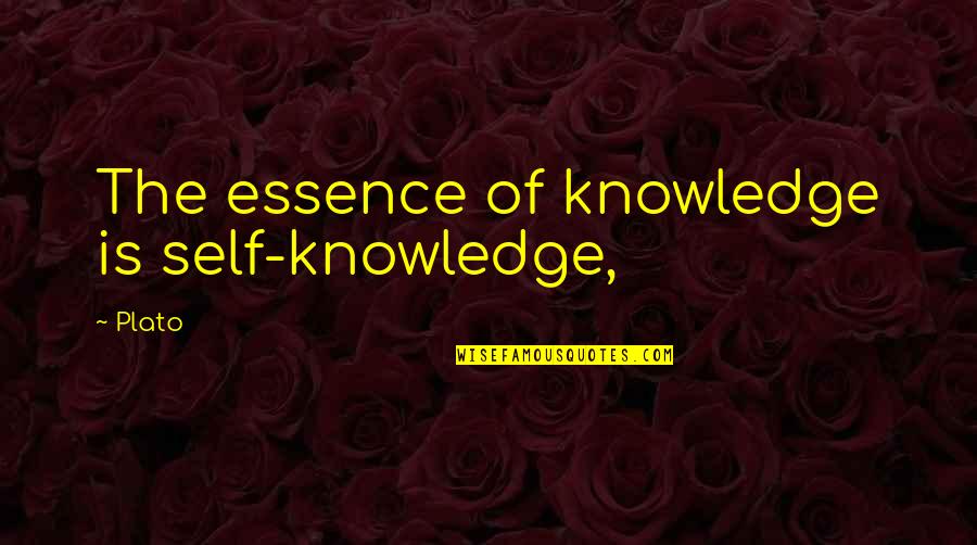 Wharick Quotes By Plato: The essence of knowledge is self-knowledge,