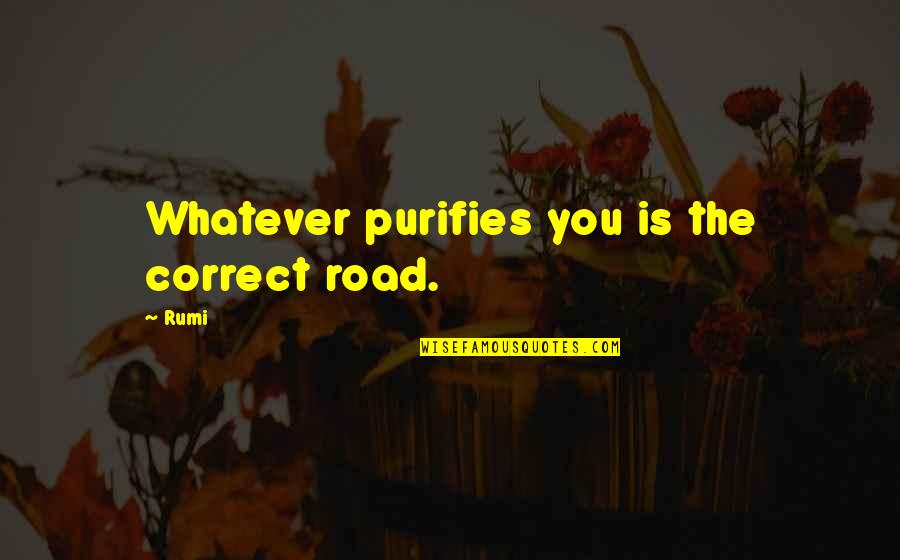 Wharves Insurance Quotes By Rumi: Whatever purifies you is the correct road.