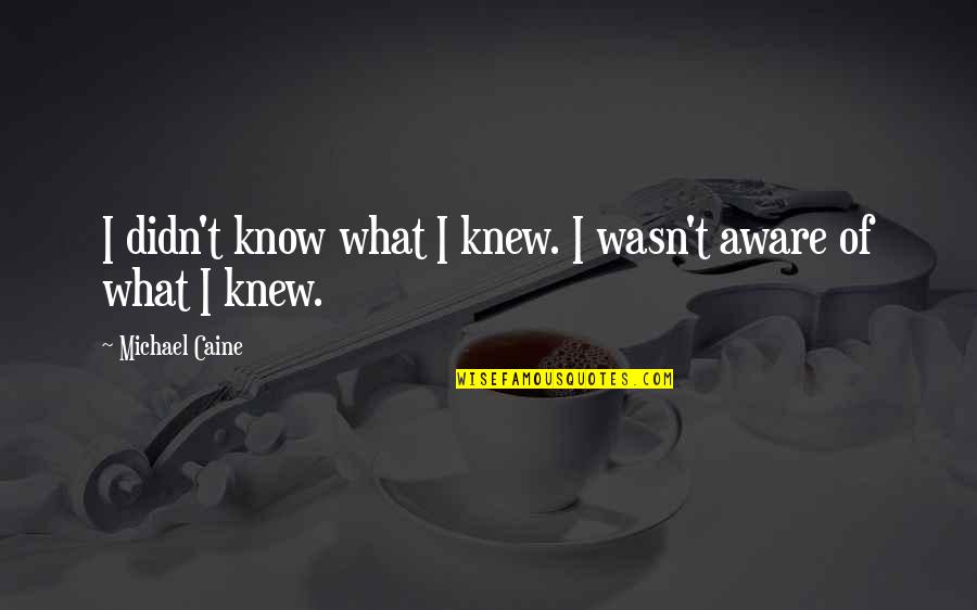 What A Beautiful Night Quotes By Michael Caine: I didn't know what I knew. I wasn't What A Beautiful Night Quotes By Michael Caine: I didn't know what I knew. I wasn't