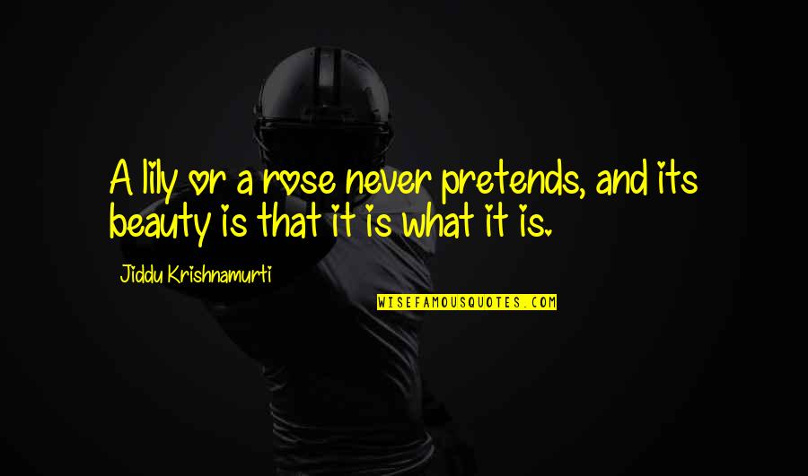 What A Beauty Quotes By Jiddu Krishnamurti: A lily or a rose never pretends, and What A Beauty Quotes By Jiddu Krishnamurti: A lily or a rose never pretends, and