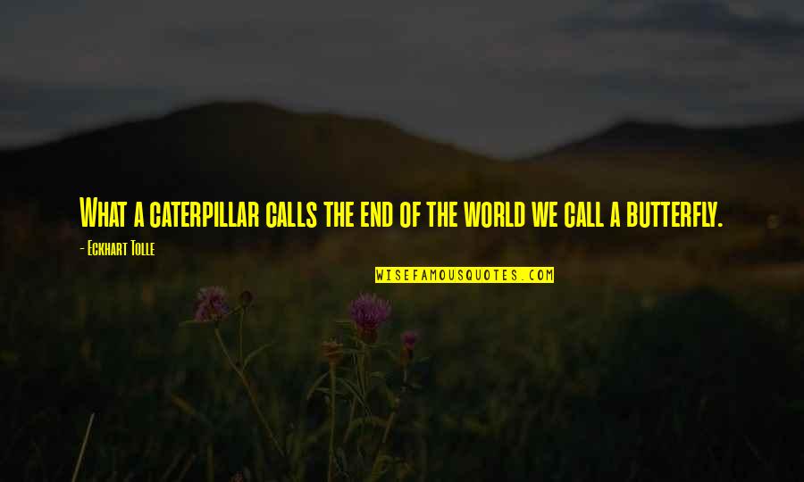 What A Caterpillar Calls The End Quotes By Eckhart Tolle: What a caterpillar calls the end of the
