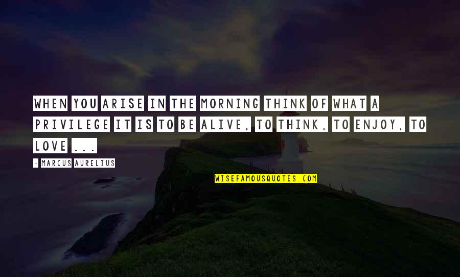 What A Day To Be Alive Quotes By Marcus Aurelius: When you arise in the morning think of