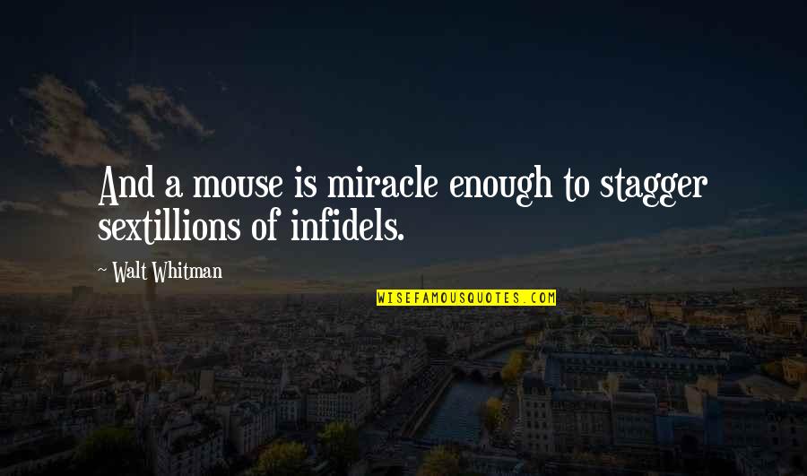 What A Man Needs From A Woman In A Relationship Quotes By Walt Whitman: And a mouse is miracle enough to stagger