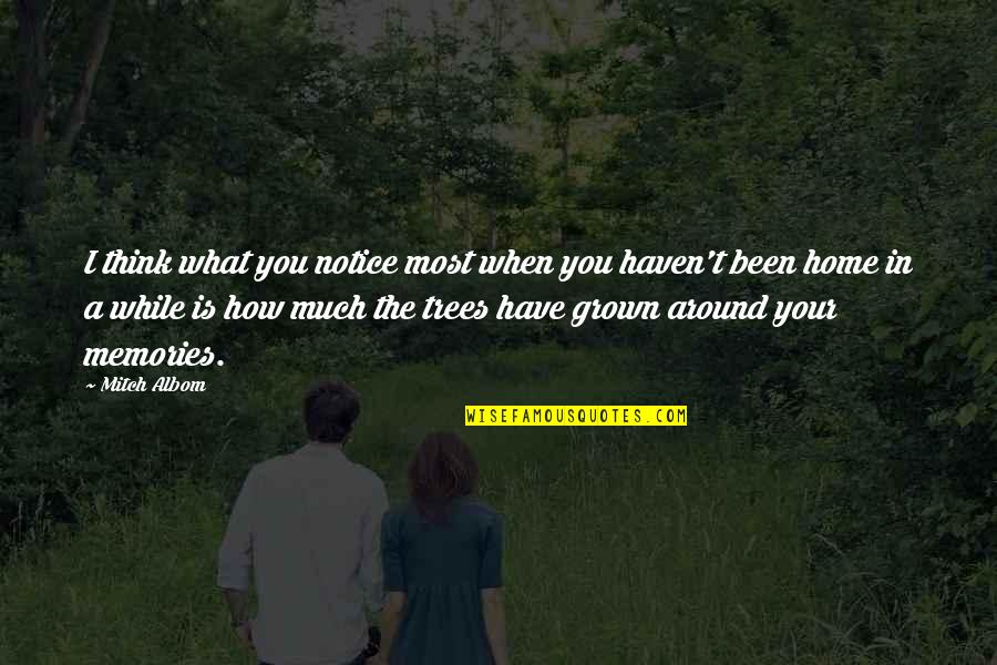What A Memories Quotes By Mitch Albom: I think what you notice most when you