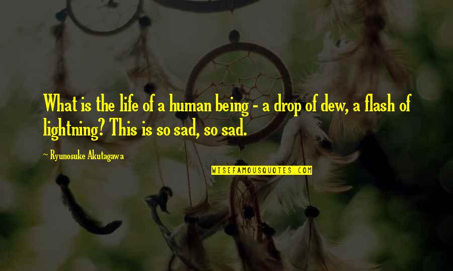 What A Sad Life Quotes By Ryunosuke Akutagawa: What is the life of a human being