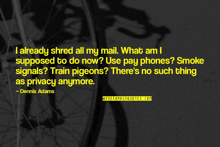 What Am I Supposed To Do Quotes By Dennis Adams: I already shred all my mail. What am