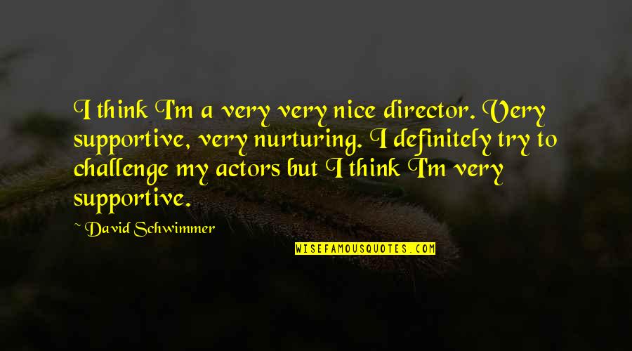 What Are Book Review Quotes By David Schwimmer: I think I'm a very very nice director.