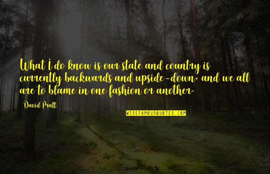 What Are Country Quotes By David Pratt: What I do know is our state and