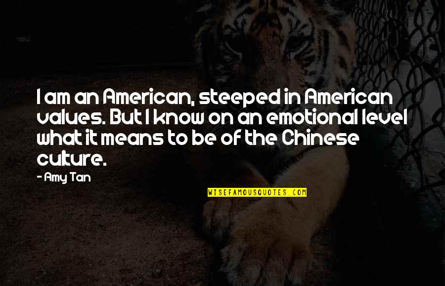 What Are Level 3 Quotes By Amy Tan: I am an American, steeped in American values.