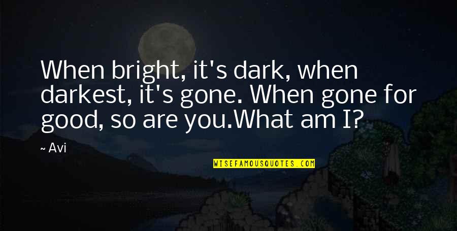 What Are So Quotes By Avi: When bright, it's dark, when darkest, it's gone.