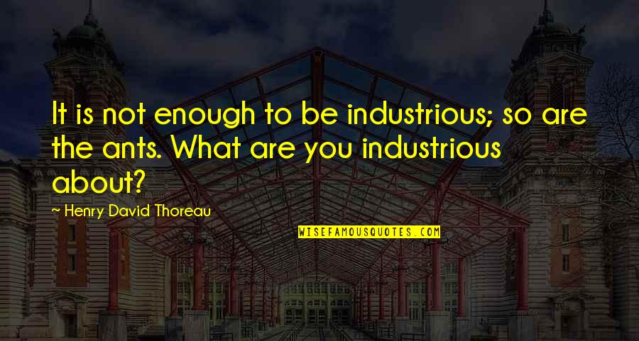 What Are So Quotes By Henry David Thoreau: It is not enough to be industrious; so