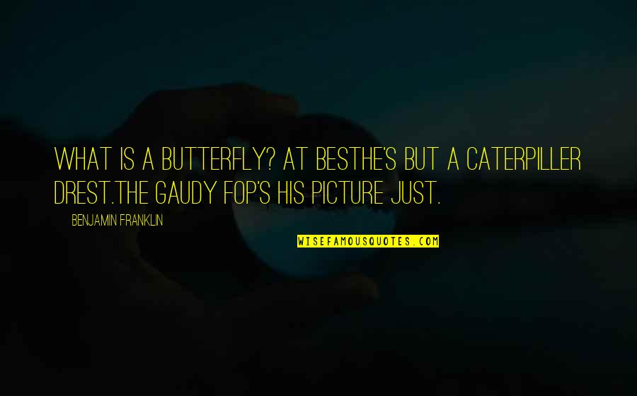 What Are Some Butterfly Quotes By Benjamin Franklin: What is a butterfly? At bestHe's but a What Are Some Butterfly Quotes By Benjamin Franklin: What is a butterfly? At bestHe's but a