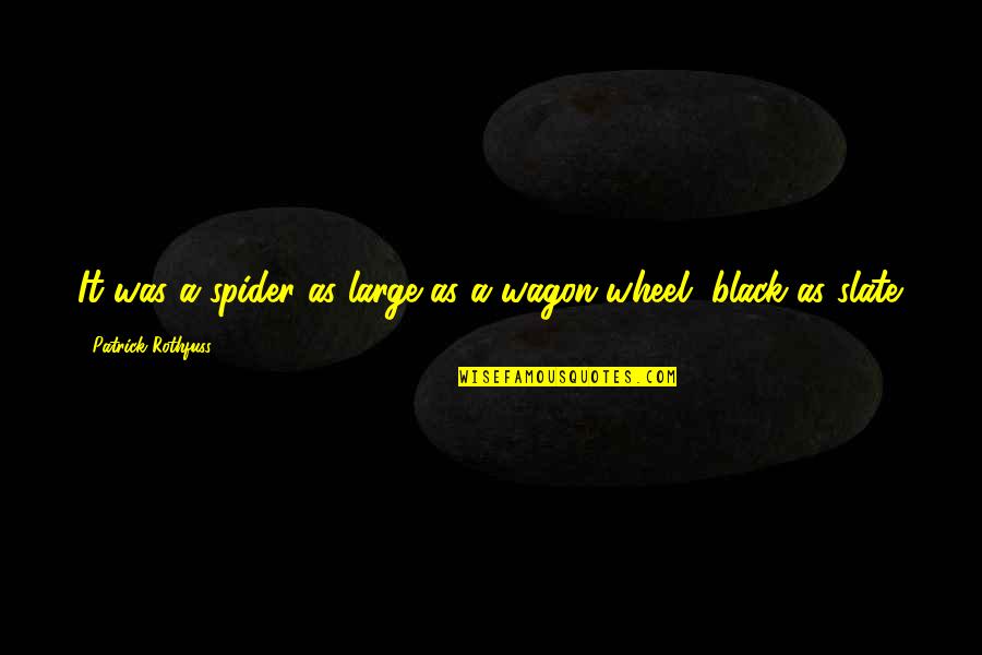 What Are Some Fixed Mindset Quotes By Patrick Rothfuss: It was a spider as large as a What Are Some Fixed Mindset Quotes By Patrick Rothfuss: It was a spider as large as a