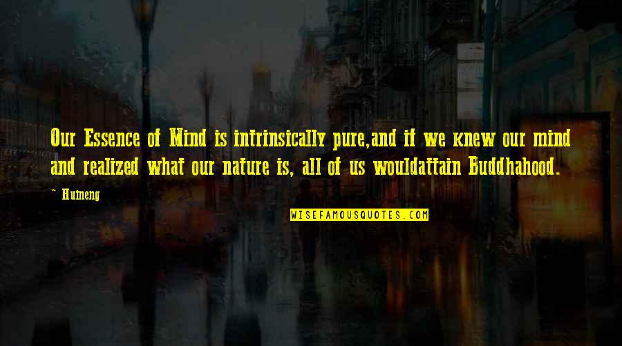 What Are Some Nature Quotes By Huineng: Our Essence of Mind is intrinsically pure,and if