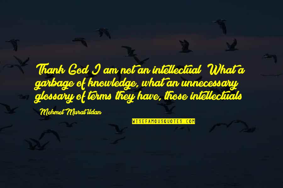 What Are Some Thank You Quotes By Mehmet Murat Ildan: Thank God I am not an intellectual! What