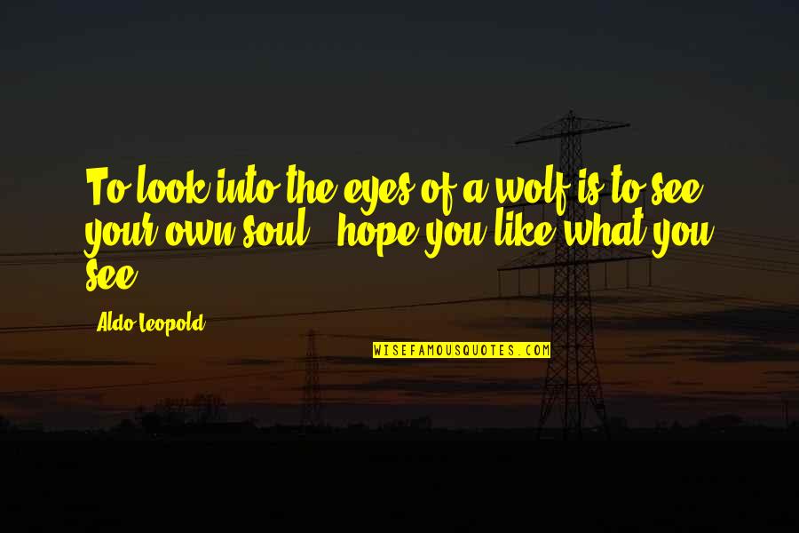 What Are Some Wolf Quotes By Aldo Leopold: To look into the eyes of a wolf