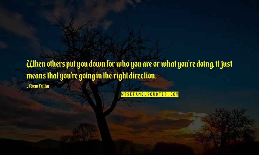 What Are You Doing For Others Quotes By Tsem Tulku: When others put you down for who you