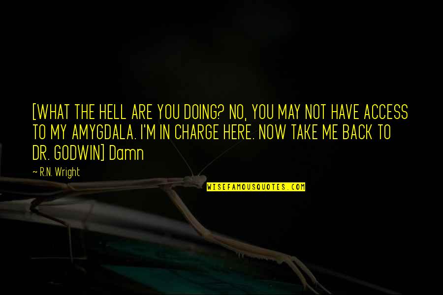 What Are You Doing Here Quotes By R.N. Wright: [WHAT THE HELL ARE YOU DOING? NO, YOU