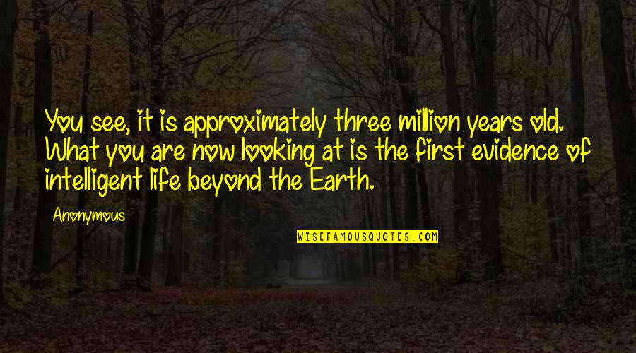 What Are You Looking For In Life Quotes By Anonymous: You see, it is approximately three million years