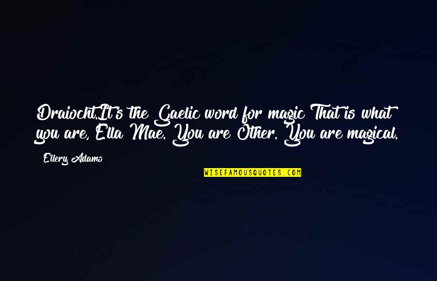 What Are You Quotes By Ellery Adams: Draiocht.It's the Gaelic word for magic That is